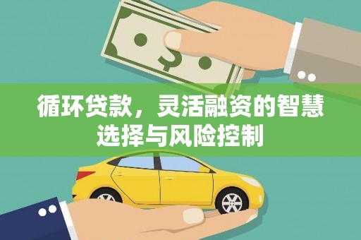 利辛循环贷款，灵活融资的智慧选择与风险控制
