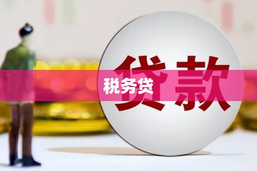 利辛税务贷