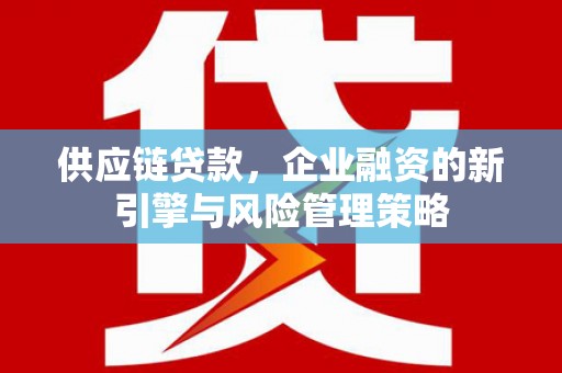 利辛供应链贷款，企业融资的新引擎与风险管理策略