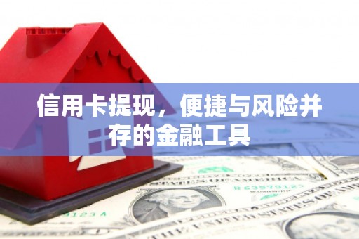 利辛信用卡提现，便捷与风险并存的金融工具
