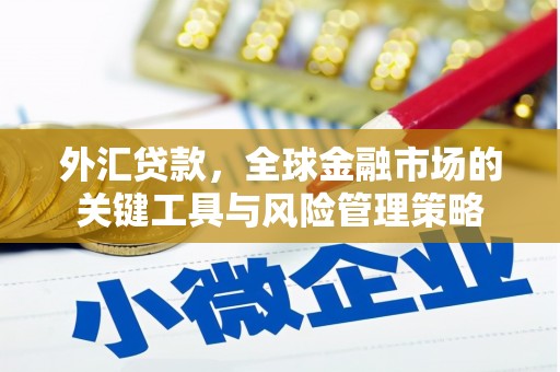 利辛外汇贷款，全球金融市场的关键工具与风险管理策略