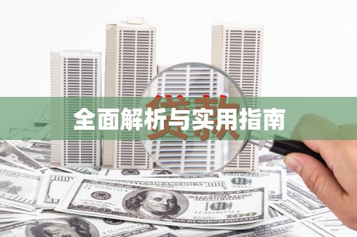 利辛全面解析与实用指南