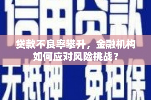 利辛贷款不良率攀升，金融机构如何应对风险挑战？