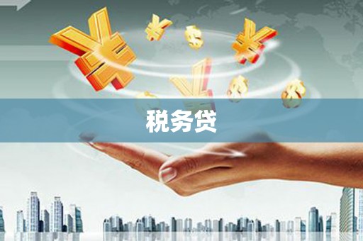 利辛税务贷