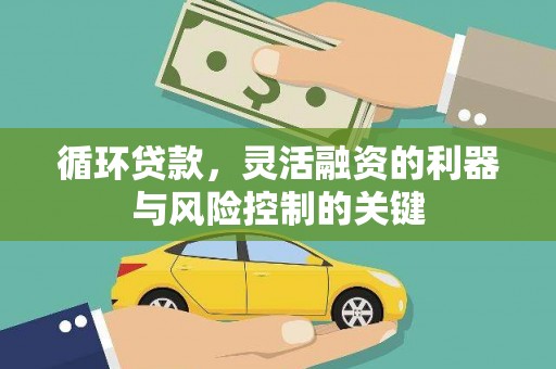 利辛循环贷款，灵活融资的利器与风险控制的关键