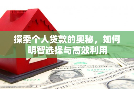 利辛探索个人贷款的奥秘，如何明智选择与高效利用
