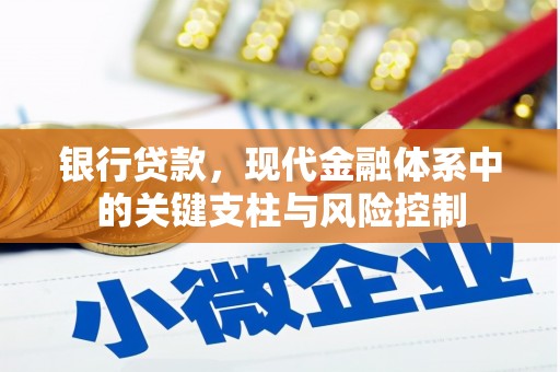 利辛银行贷款，现代金融体系中的关键支柱与风险控制