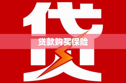 利辛贷款购买保险