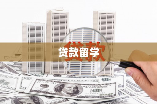 利辛贷款留学