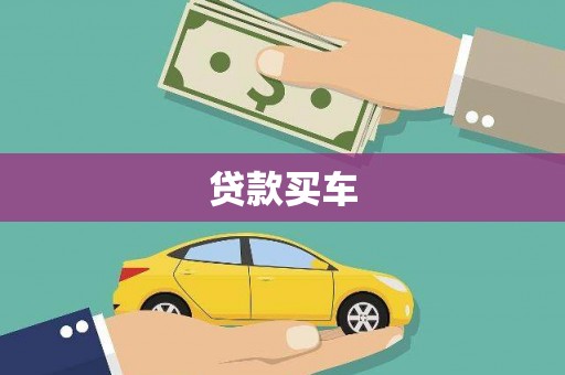 利辛贷款买车