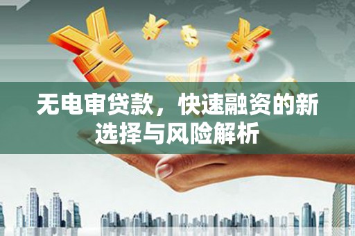 利辛无电审贷款，快速融资的新选择与风险解析