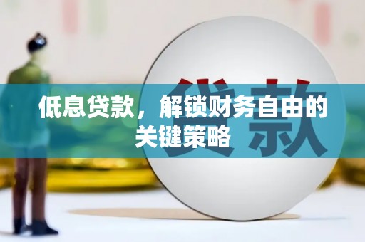 利辛低息贷款，解锁财务自由的关键策略