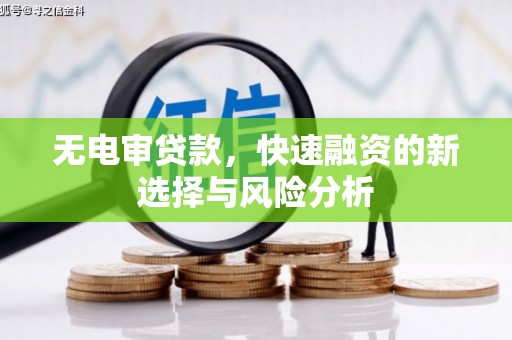 利辛无电审贷款，快速融资的新选择与风险分析