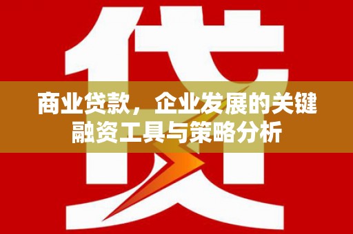 利辛商业贷款，企业发展的关键融资工具与策略分析