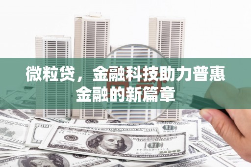 利辛微粒贷，金融科技助力普惠金融的新篇章