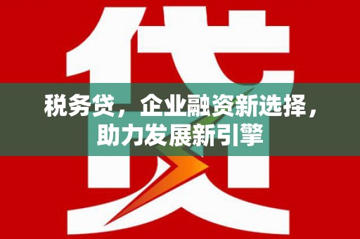 利辛税务贷，企业融资新选择，助力发展新引擎