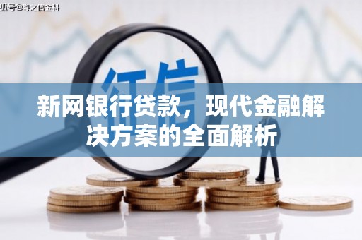 利辛新网银行贷款，现代金融解决方案的全面解析