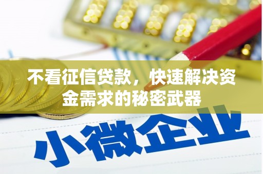 利辛不看征信贷款，快速解决资金需求的秘密武器