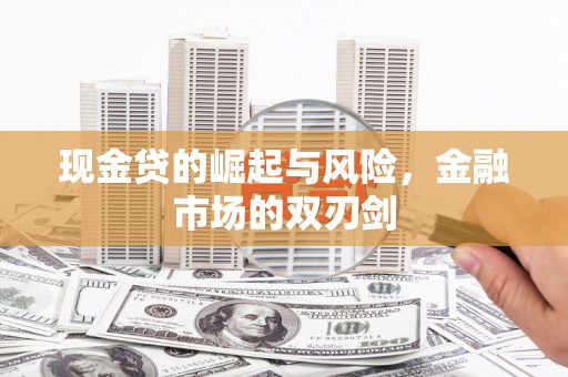 利辛现金贷的崛起与风险，金融市场的双刃剑