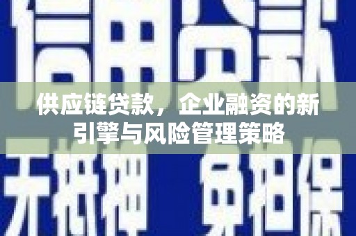 利辛供应链贷款，企业融资的新引擎与风险管理策略