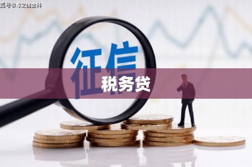 利辛税务贷
