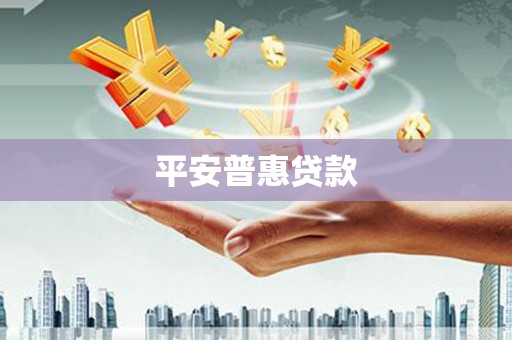 利辛平安普惠贷款
