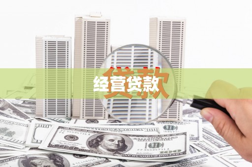 利辛经营贷款