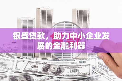 利辛银盛贷款，助力中小企业发展的金融利器