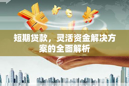 利辛短期贷款，灵活资金解决方案的全面解析