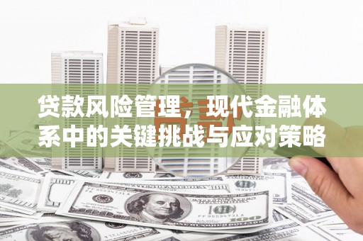 利辛贷款风险管理，现代金融体系中的关键挑战与应对策略