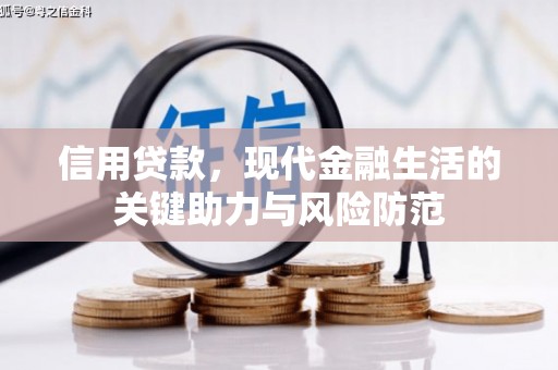 利辛信用贷款，现代金融生活的关键助力与风险防范