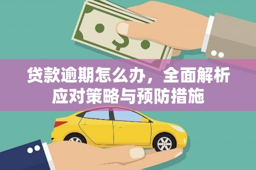 利辛贷款逾期怎么办，全面解析应对策略与预防措施