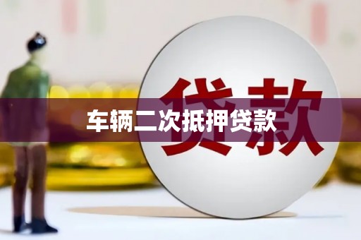 利辛车辆二次抵押贷款