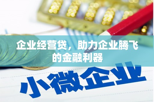 利辛企业经营贷，助力企业腾飞的金融利器