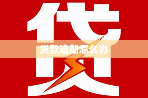 利辛贷款逾期怎么办