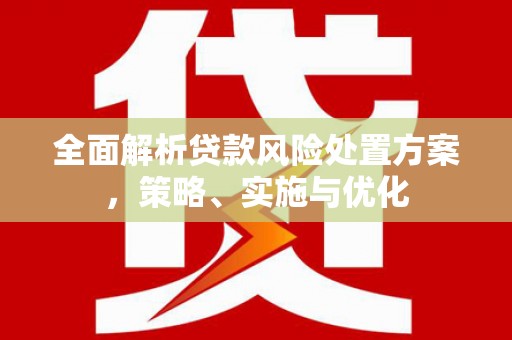 利辛全面解析贷款风险处置方案，策略、实施与优化