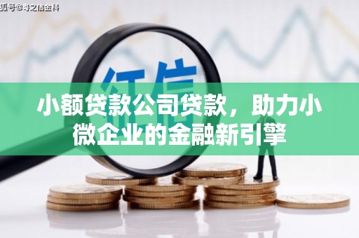 利辛小额贷款公司贷款，助力小微企业的金融新引擎