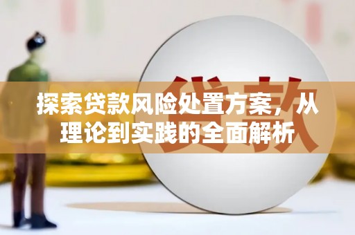 利辛探索贷款风险处置方案，从理论到实践的全面解析