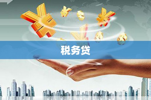 利辛税务贷