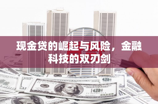 利辛现金贷的崛起与风险，金融科技的双刃剑