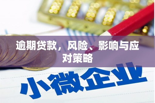利辛逾期贷款，风险、影响与应对策略