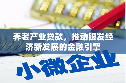 利辛养老产业贷款，推动银发经济新发展的金融引擎