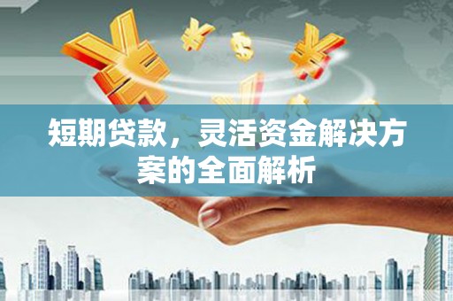 利辛短期贷款，灵活资金解决方案的全面解析