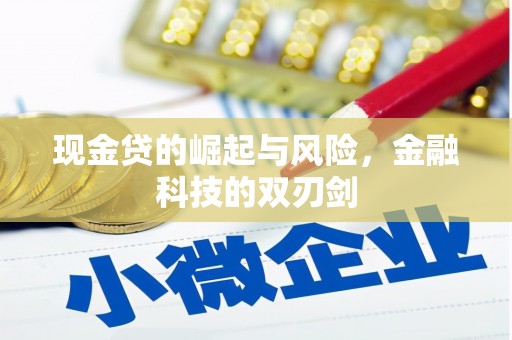 利辛现金贷的崛起与风险，金融科技的双刃剑