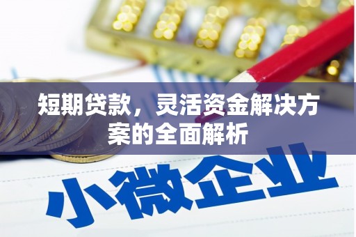 利辛短期贷款，灵活资金解决方案的全面解析