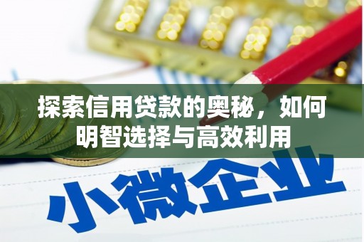 利辛探索信用贷款的奥秘，如何明智选择与高效利用