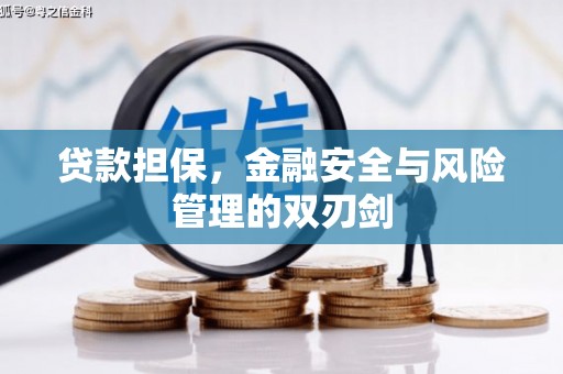 利辛贷款担保，金融安全与风险管理的双刃剑