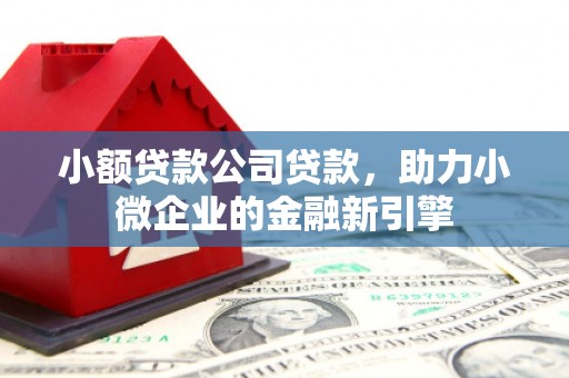 利辛小额贷款公司贷款，助力小微企业的金融新引擎