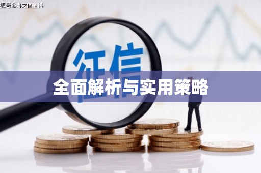 利辛全面解析与实用策略