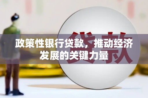 利辛政策性银行贷款，推动经济发展的关键力量